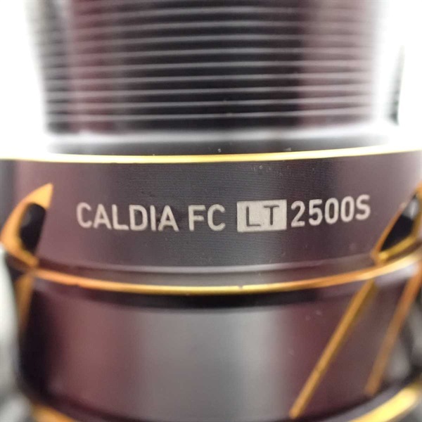 ２１カルディアＦＣＬＴ２５００Ｓ